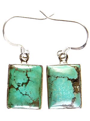 Spider's Web Turquoise Earrings