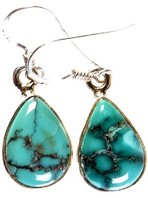 Turquoise Earrings