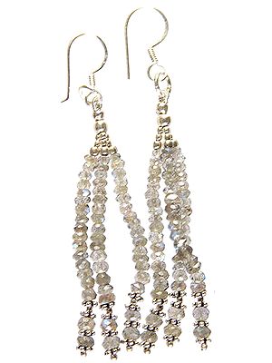 Labradorite Israel Cut Shower Earrings