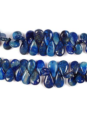 Lapis Lazuli Plain Briolette