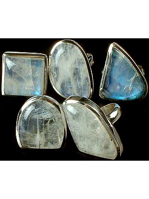 Lot of Five Rainbow Moonstone Rings