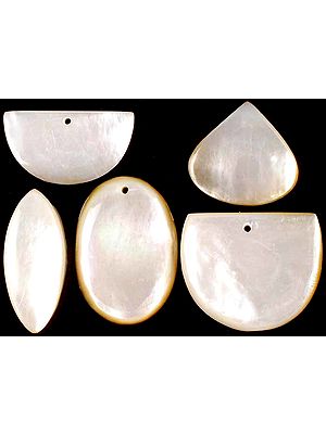 Lot of Five Shell Cabochons (Both Side & Top Drilled)