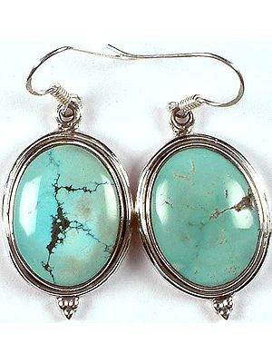 Oval Turquoise Earrings