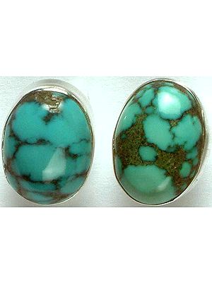 Oval Turquoise Earrings