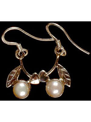 Pearl Earrings
