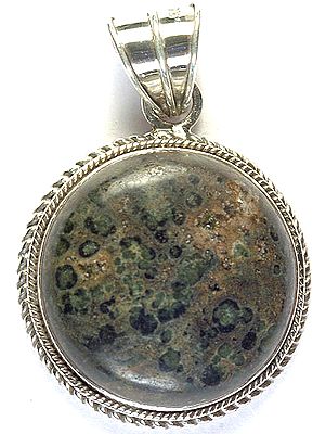 Picture Jasper Pendant