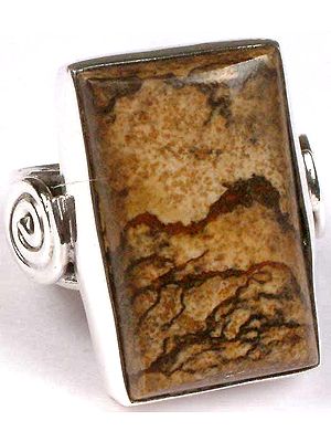 Picture Jasper Ring