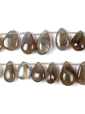 Plain Labradorite Briolette