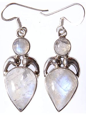 Rainbow Moonstone Earrings