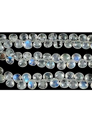 Rainbow Moonstone Plain Briolette