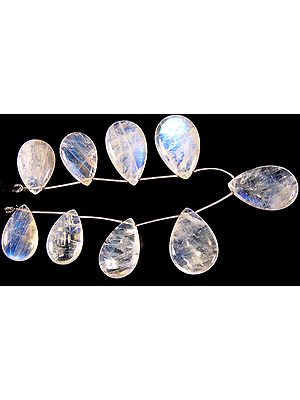 Large Rainbow Moonstone Plain Briolette