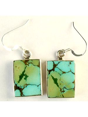 Spider's Web Turquoise Earrings