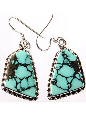 Spider's Web Turquoise Earrings