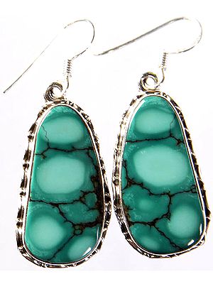 Spider's Web Turquoise Earrings
