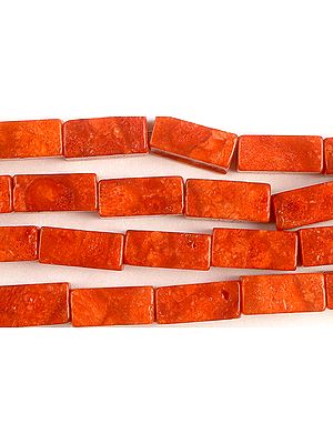 Sponge Coral Rectangles