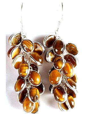 Tiger Eye Bezel Bunch Earrings
