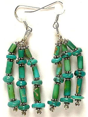 Turquoise Beaded Earrings