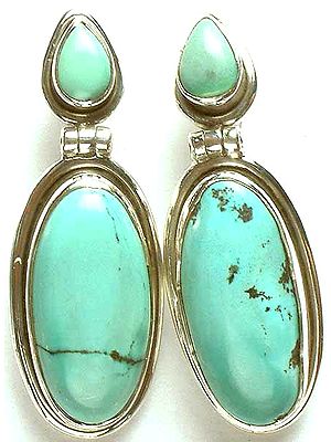 Turquoise Hinged Earrings