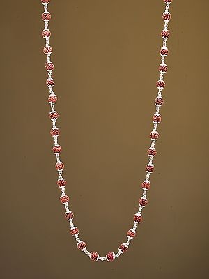 Genuine Certified Rudraksha Mala