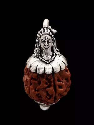 Lord Shiva with Genuine Certified Panchmukhi Rudraksha Pendant