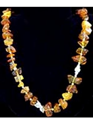 Amber Necklace