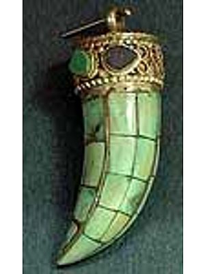 Old Tiger Claw Pendant