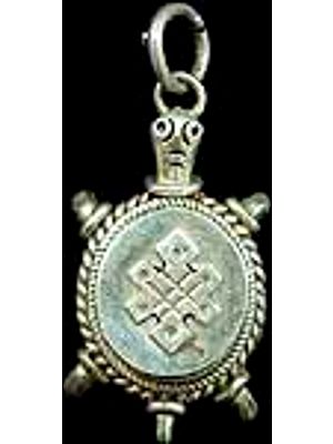 The Endless Knot on Turtle-Back