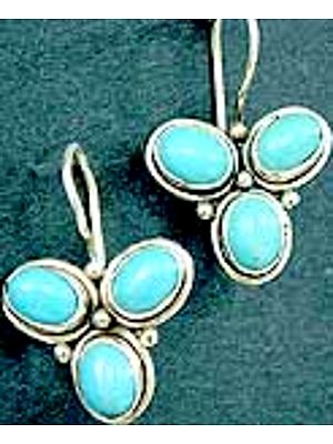 Turquoise Ear-Rings