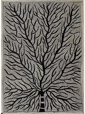 Tree of Life in Desert