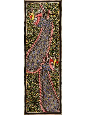 Peacock Pair
