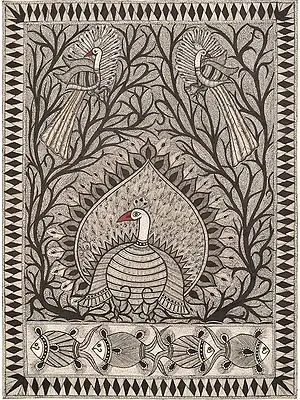 The Magnificent Peacock