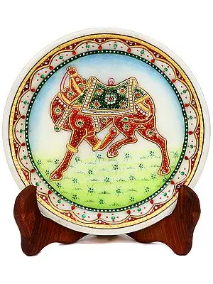 Camel