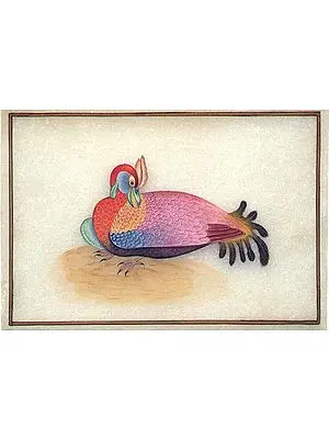 Turkey