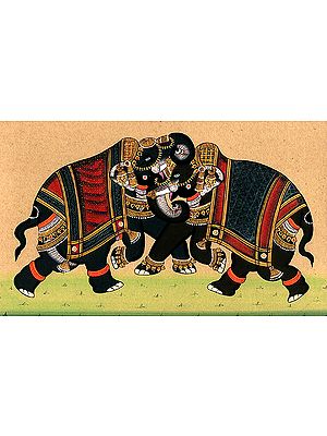 Elephants Combat