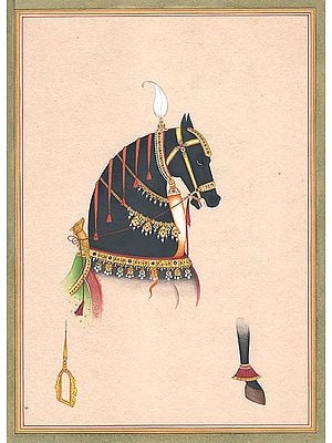 Horse and Accessories