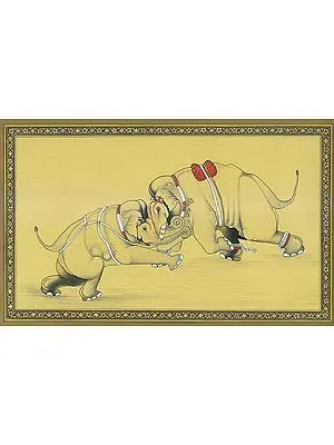The Elephant Fight