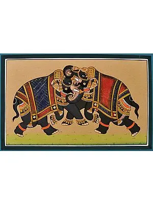 The Elephant Combat
