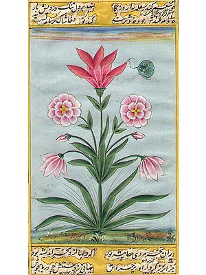 Mughal Flower
