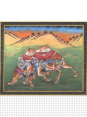 Pashu Kunjar - Composite Camel