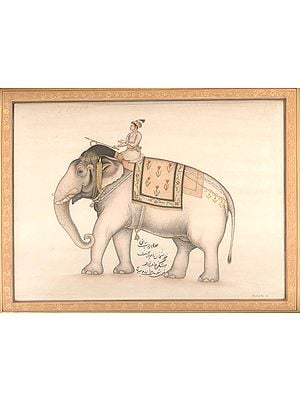 Royal Elephant