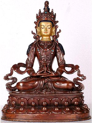 Amitabha