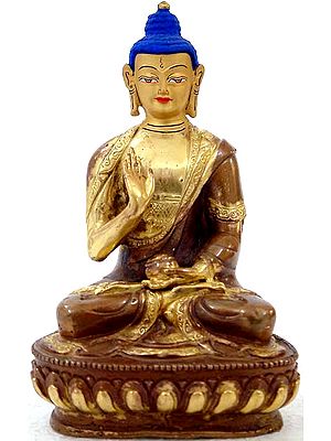Buddha in the Abhaya Mudra