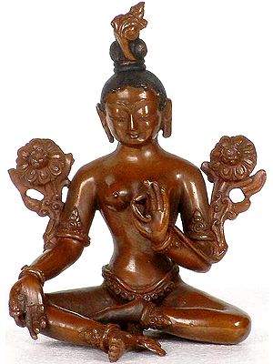 Tibetan Buddhist Deity Green Tara