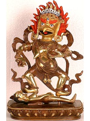 Kakasya - the Crow Headed Goddess