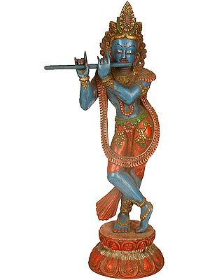 Lord Krishna