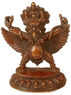 Nepalese Garuda