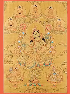 Goddess Green Tara - Tibetan Buddhist (Brocadeless Thangka)
