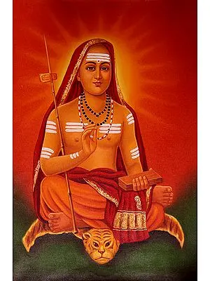 Shankaracharya Ji