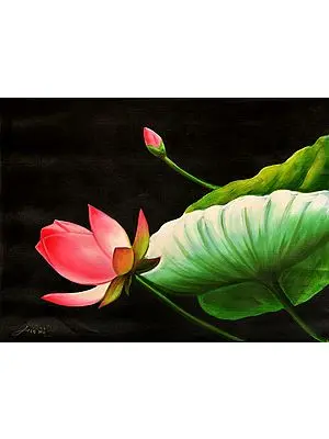 Padma, Symbol Of Beauty And Compassion