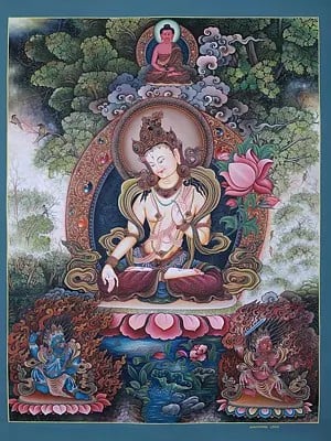 Tibetan Buddhist White Tara Hand-Painted | Brocadeless Thangka Painting